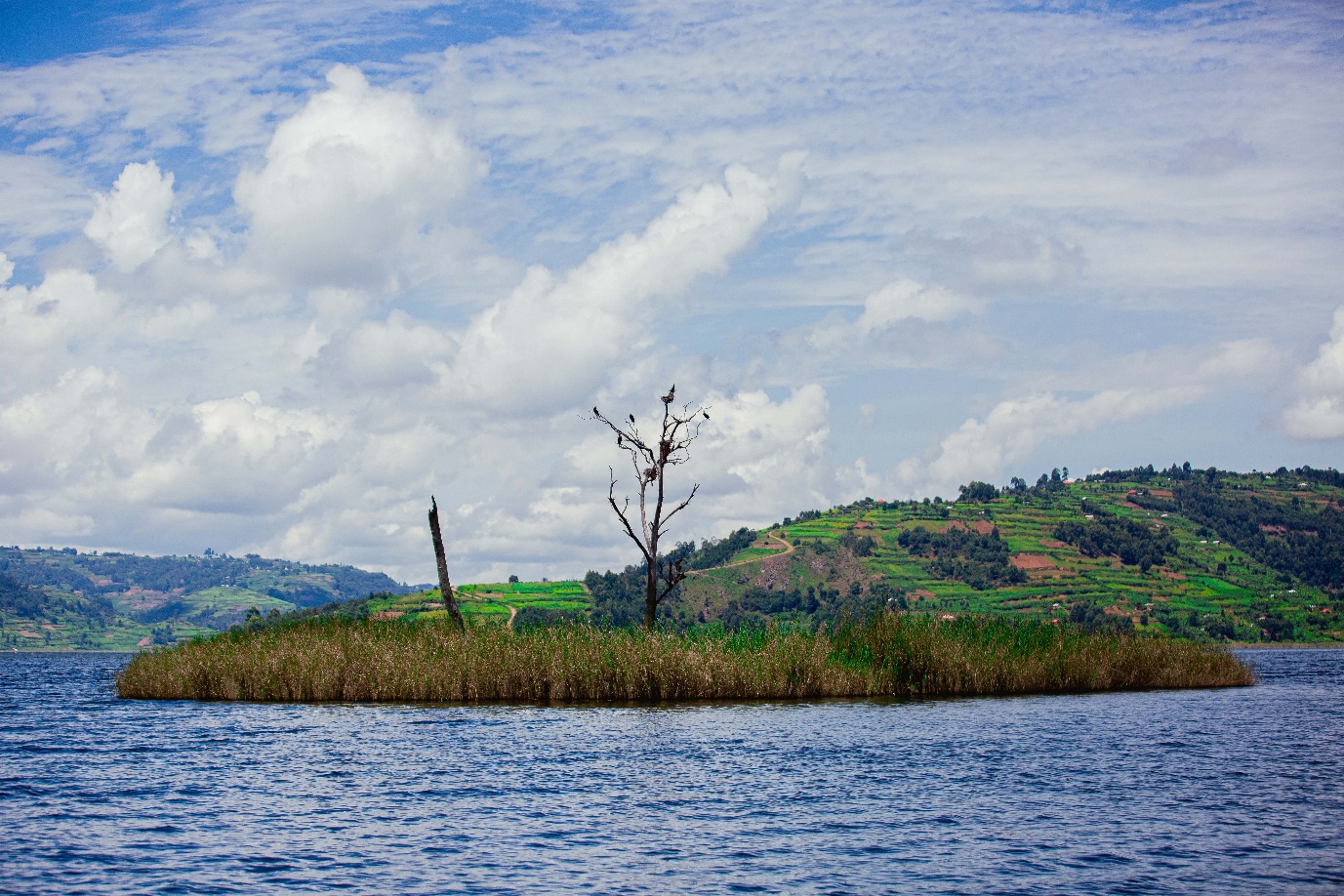 Small island on a Uganda lake