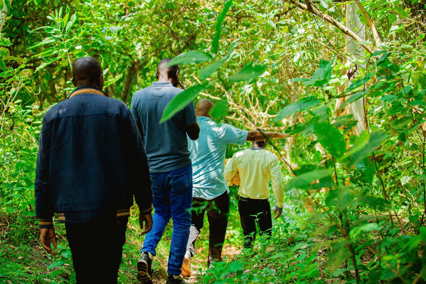 Guided nature walk in Uganda forest